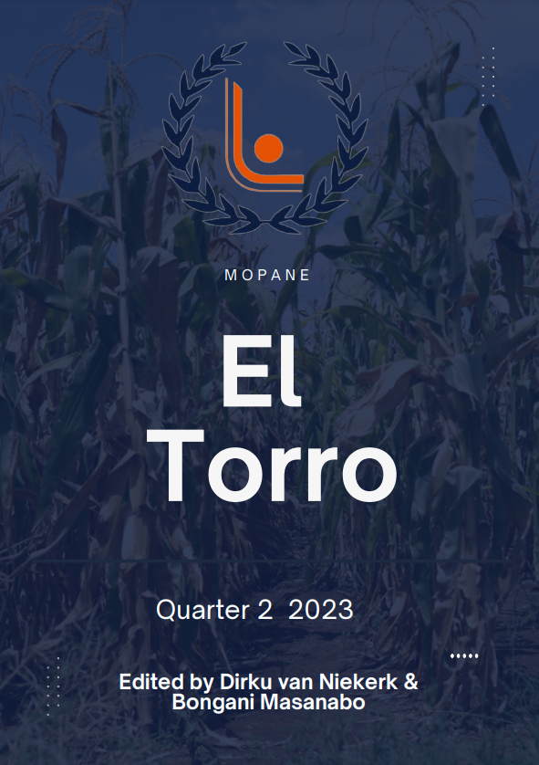 El Torro Image 2